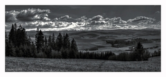 Orava