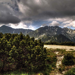 Západné Tatry