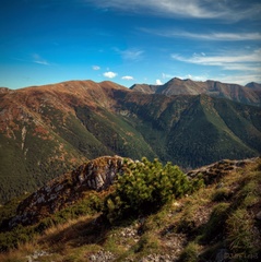 jesenné kráľovstvo