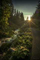 ráno v Látanej doline