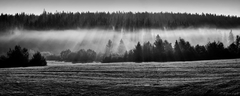 ráno BW