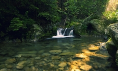 ráno v Látanej ...