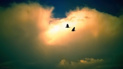 kráááá, kráááá