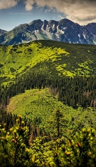 tri Kopy