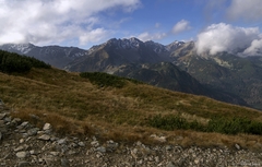 Roháče