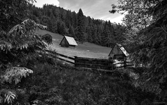 Salaš