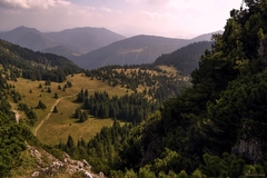 Medziholie