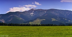 Brestová