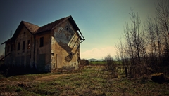 Walking dead ...
