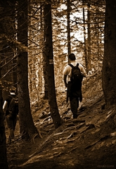 turisti