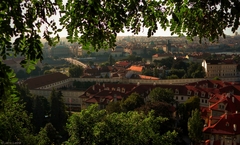 Praha