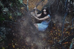 Wild Heart