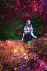 Wonderland
