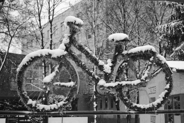 Snowbike :)