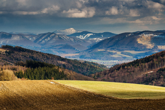 krajinka po zime