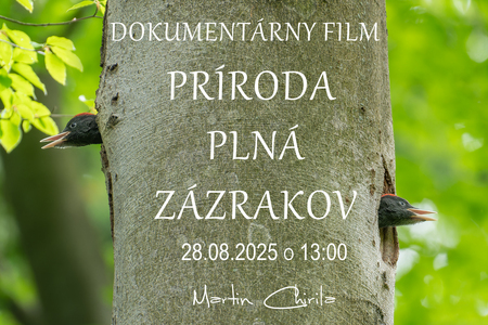 PRÍRODA PLNÁ ZÁZRAKOV - DOKUMENTÁRNY FILM / 4K + TITULKY