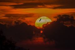 magic sunset