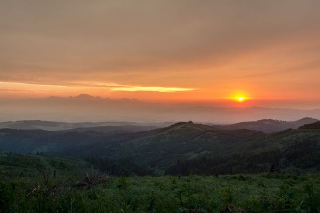 zapad v levočakoch