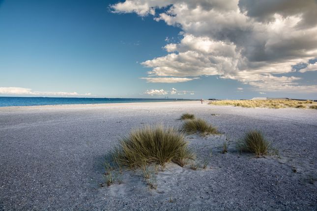 Amager beach