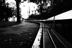 Street Photo Wien