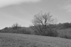 krajina