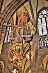 Katedrala - organ