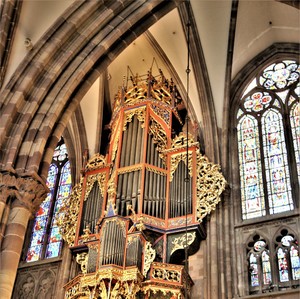 Katedrala - organ