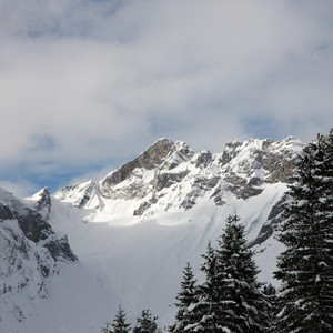 Swiss Panorama 1