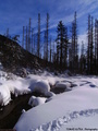 Zimný potok vo Vysokých tatrách