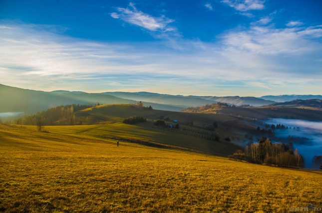 Zahmlená krajina