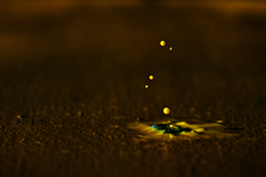 waterdrop experiment 7