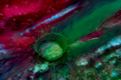 waterdrop experiment 2