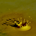 waterdrop experiment