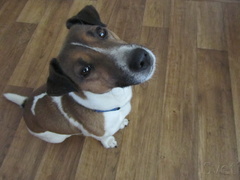 Já už chci jít ven, ale hned