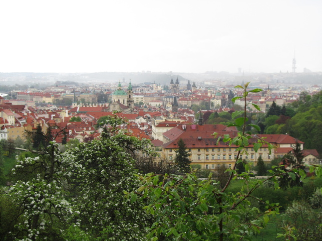 Ubrečená neděle v Praze
