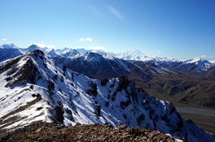 Denali National Park