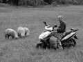 Moderný pastier