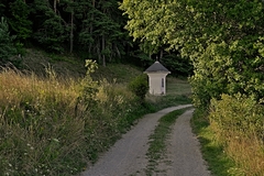 Cesta