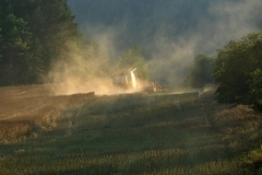 Zaprášená žatva