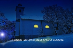 Vinš