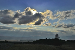 Náladovka