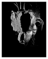 fragment