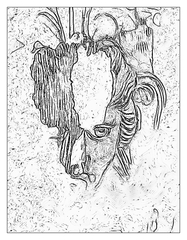 Fragment II