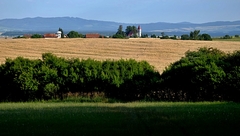 letná krajina