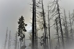 tatry