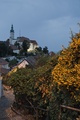 Večerný Mikulov
