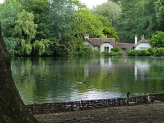 Zákutia Londýna 11