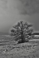 strom