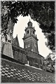 Wawel