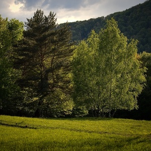 Spomienka na jar